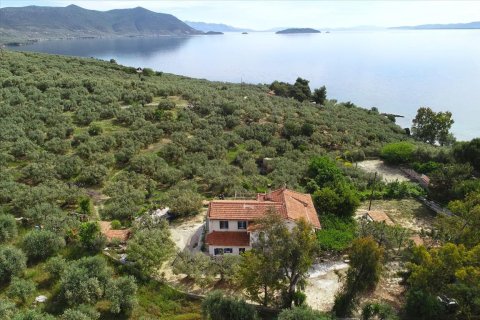 250m² Villa en Pelasgia, Greece No. 56503 16