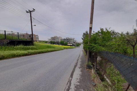 1300m² Negocio en Evosmos, Greece No. 56025 9