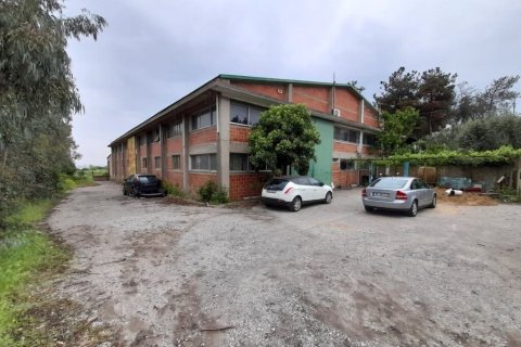 1300m² Negocio en Evosmos, Greece No. 56025 2