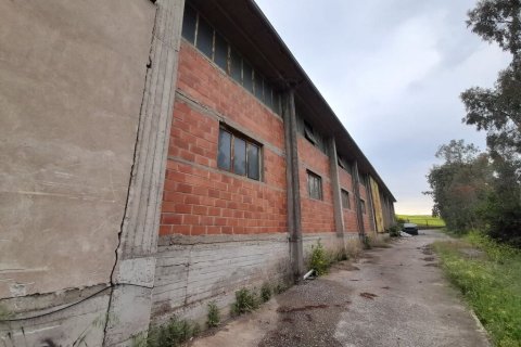 1300m² Negocio en Evosmos, Greece No. 56025 4