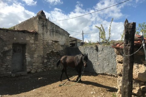 375m² House in Heraklion, Greece No. 56021 17