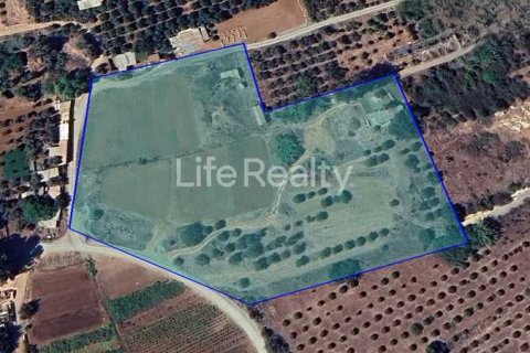 18163m² Land in Tserkezoi, Cyprus No. 75888 1