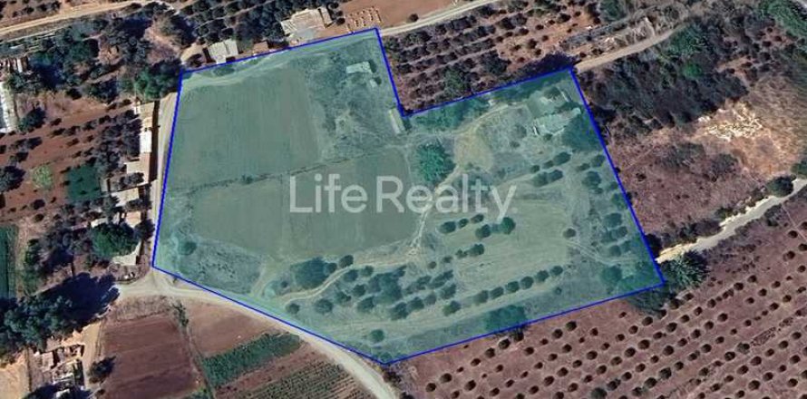 18163m² Land in Tserkezoi, Cyprus No. 75888