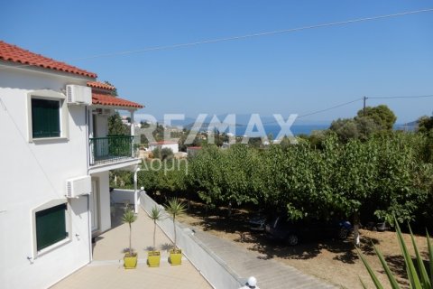 18 bedrooms Hotel in Skiathos, Greece No. 27959 21