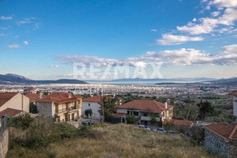 4 bedrooms Building in Magnesia, Greece No. 27989 4