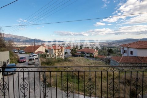 4 bedrooms Building in Magnesia, Greece No. 27989 24