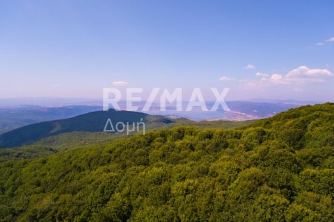 15000000m² Land in Rentina, Greece No. 27960 12