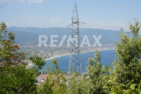 15000000m² Land in Rentina, Greece No. 27960 17