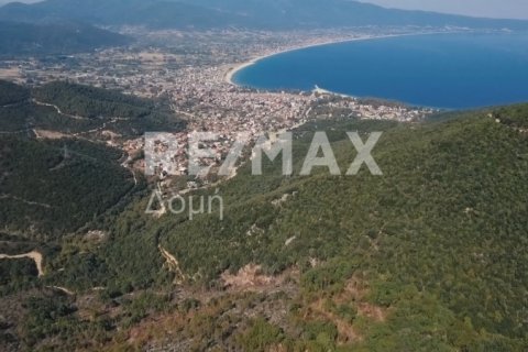 15000000m² Land in Rentina, Greece No. 27960 7