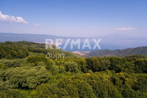 15000000m² Land in Rentina, Greece No. 27960 13