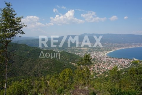 15000000m² Land in Rentina, Greece No. 27960 10