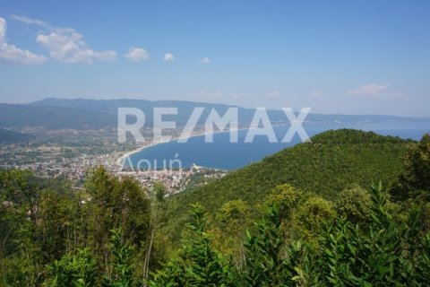 15000000m² Land in Rentina, Greece No. 27960 9