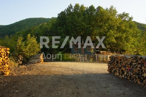 15000000m² Land in Rentina, Greece No. 27960 14