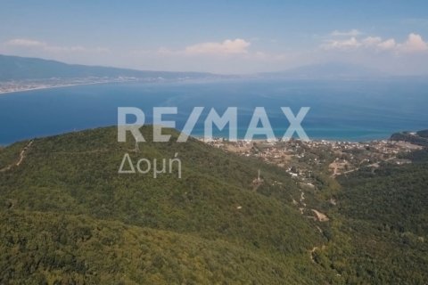 15000000m² Land in Rentina, Greece No. 27960 8