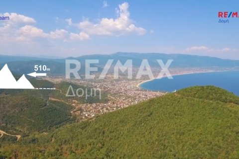 15000000m² Land in Rentina, Greece No. 27960 6