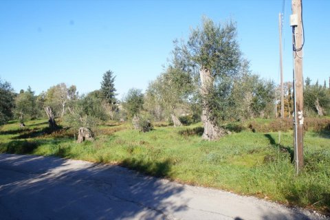 17500m² Land in Corfu, Greece No. 56747 6