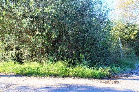 17500m² Land in Corfu, Greece No. 56747 2