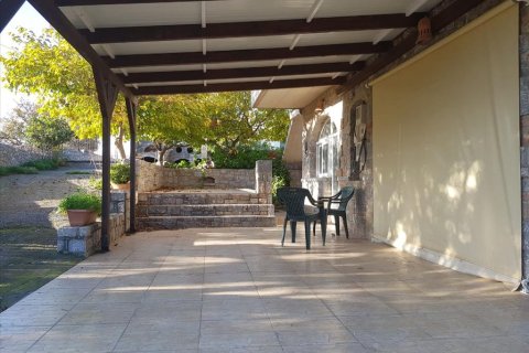 273m² Negocio en Neapoli, Greece No. 56749 8