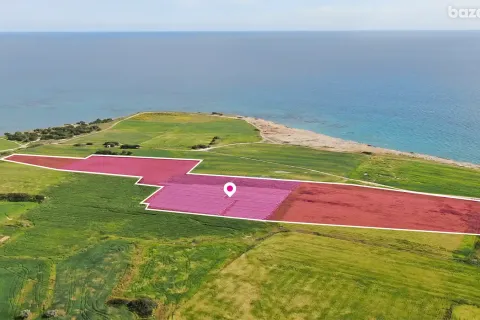 36456m² Land à Mazotos, Cyprus No. 41446 3