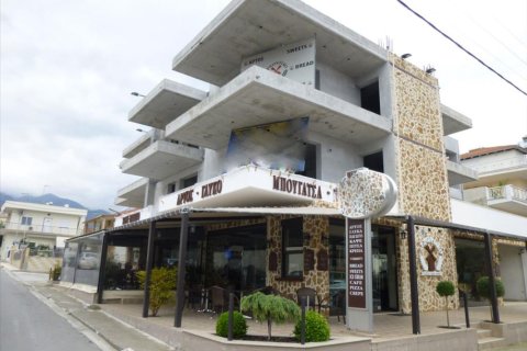 370m² Commercial property à Pieria, Greece No. 48959 1