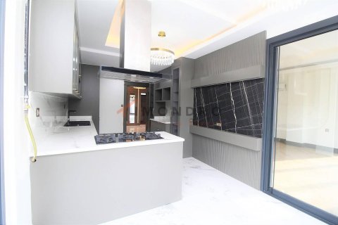 5+1 Villa à Basaksehir, Turkey No. 17446 22