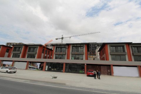 5+1 Villa à Basaksehir, Turkey No. 16973 12