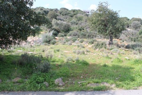 8205m² Land in Agios Nikolaos, Greece No. 57578 6