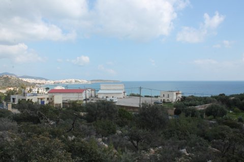 8205m² Land in Agios Nikolaos, Greece No. 57578 1