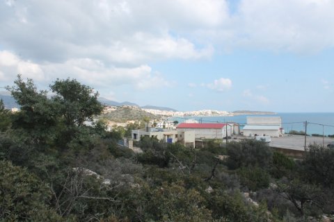 8205m² Land en Agios Nikolaos, Greece No. 57578 2