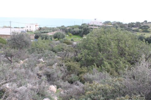 8205m² Land à Agios Nikolaos, Greece No. 57578 7