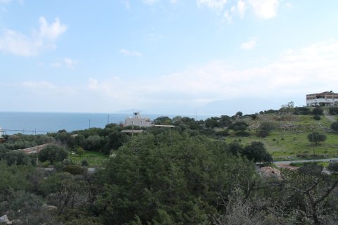 8205m² Land in Agios Nikolaos, Greece No. 57578 4