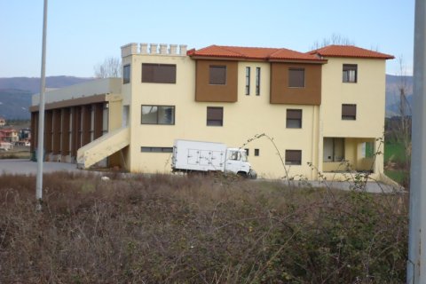 1375m² Business in Chalkidiki, Greece No. 60217 9