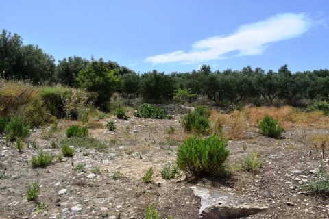 5500m² Land in Rethymno, Greece No. 57265 3