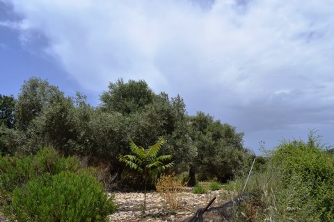 5500m² Land in Rethymno, Greece No. 57265 5