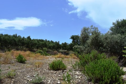 5500m² Land in Rethymno, Greece No. 57265 7