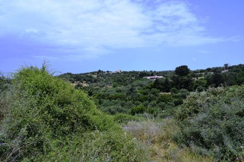 5500m² Land in Rethymno, Greece No. 57265 6