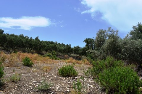 5500m² Land in Rethymno, Greece No. 57265 4