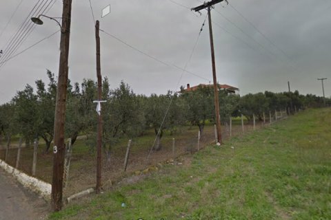 21350m² Land à Chalkidiki, Greece No. 57266 2