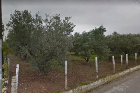 21350m² Land à Chalkidiki, Greece No. 57266 1