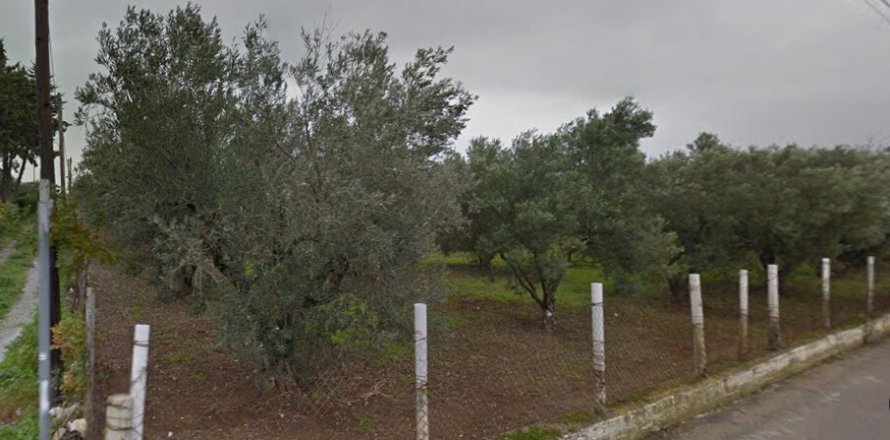 21350m² Land à Chalkidiki, Greece No. 57266