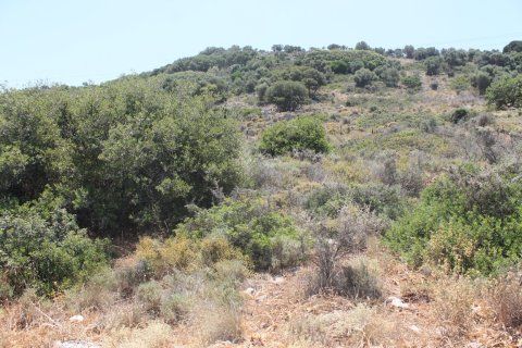 9137m² Land à Hersonissos, Greece No. 57262 3