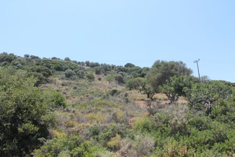 9137m² Land à Hersonissos, Greece No. 57262 5