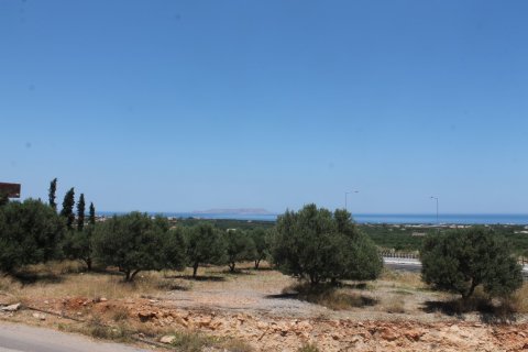 9137m² Land in Hersonissos, Greece No. 57262 2