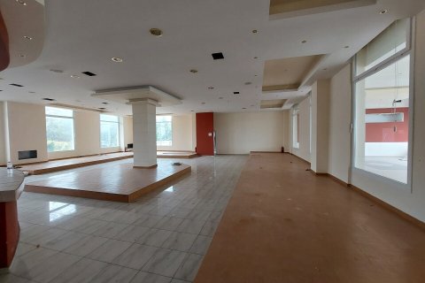 Отель, гостиница 4390м² в Ореокастрон, Греция №55600 13