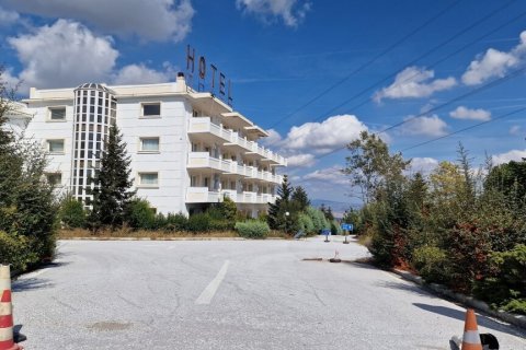 4390m² Hotel in Oraiokastro, Greece No. 55600 16