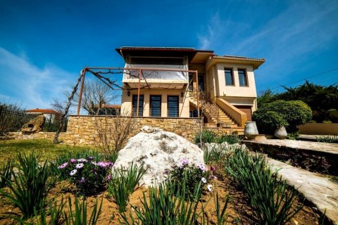 5 bedrooms House in Chalkidiki, Greece No. 55590 6