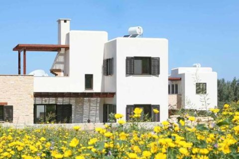 4 dormitorios Villa en Paphos, Cyprus No. 48422 6