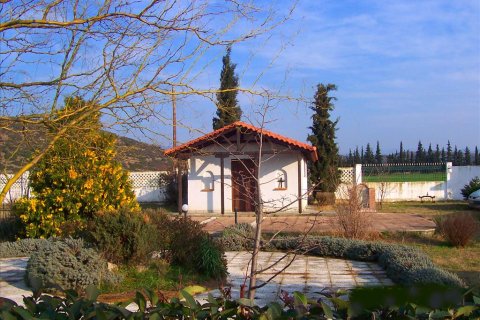 9 dormitorios Villa en Polygyros, Greece No. 60133 4