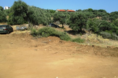 6320m² Land à Thasos, Greece No. 60131 5