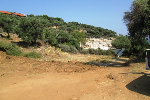 6320m² Land à Thasos, Greece No. 60131 4